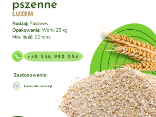 OTRĘBY PSZENNE SYPKIE Oferujemy w ciągłej sprzedaży otręby pszenne