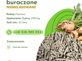 WYSŁODKI BURACZANE niemelasowane Oferujemy w ciągłej sprzedaży wysłodki buraczane