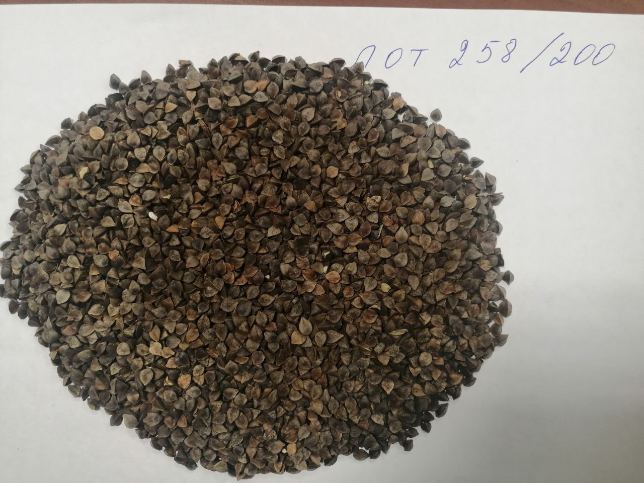 LLC Smoleńsk Agro Export eksportuje grykę pochodzenia rosyjskiego DAP-kraje UE