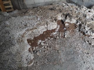 Mam do sprzedania około 3 ton soi. Zebrany materiał