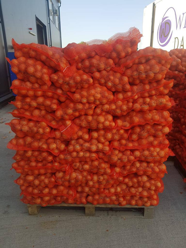 SPRZEDAM CEBULĘ (5+Kalibre): 100% rumuńska jakość Eco I Cebula żółta - 0,47€/kg Cebula czerwona - 0,50€/kg Pakowanie w worki 10kg Wyprodukowano w Rumunii