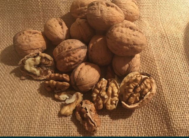 Orzech włoski sprzedam ekologia ręcznie zbierany tegoroczne Sprzedam 20~30 kg orzechów włoskich, ręcznie zbieranych, tegoroczne, ekologiczne, teren z dala od
