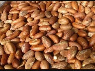 Skontaktuj się ze mną, aby uzyskać przystępną cenowo organiczną