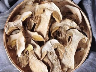 Hurtownia Boletus Luteus Mushh / Suszone Borowiki Zbierane hurtowo