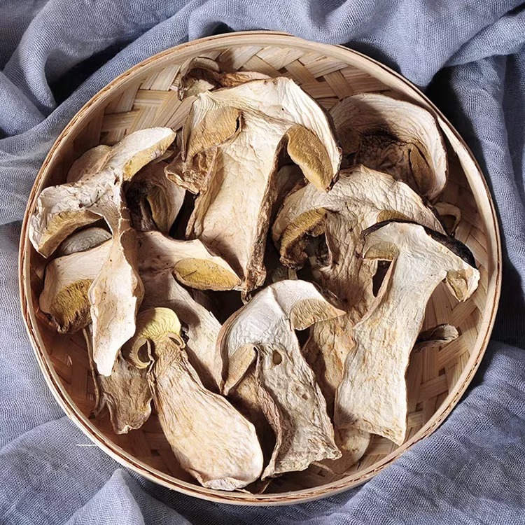 Hurtownia Boletus Luteus Mushh / Suszone Borowiki Zbierane hurtowo w ekologicznie czystych miejscach