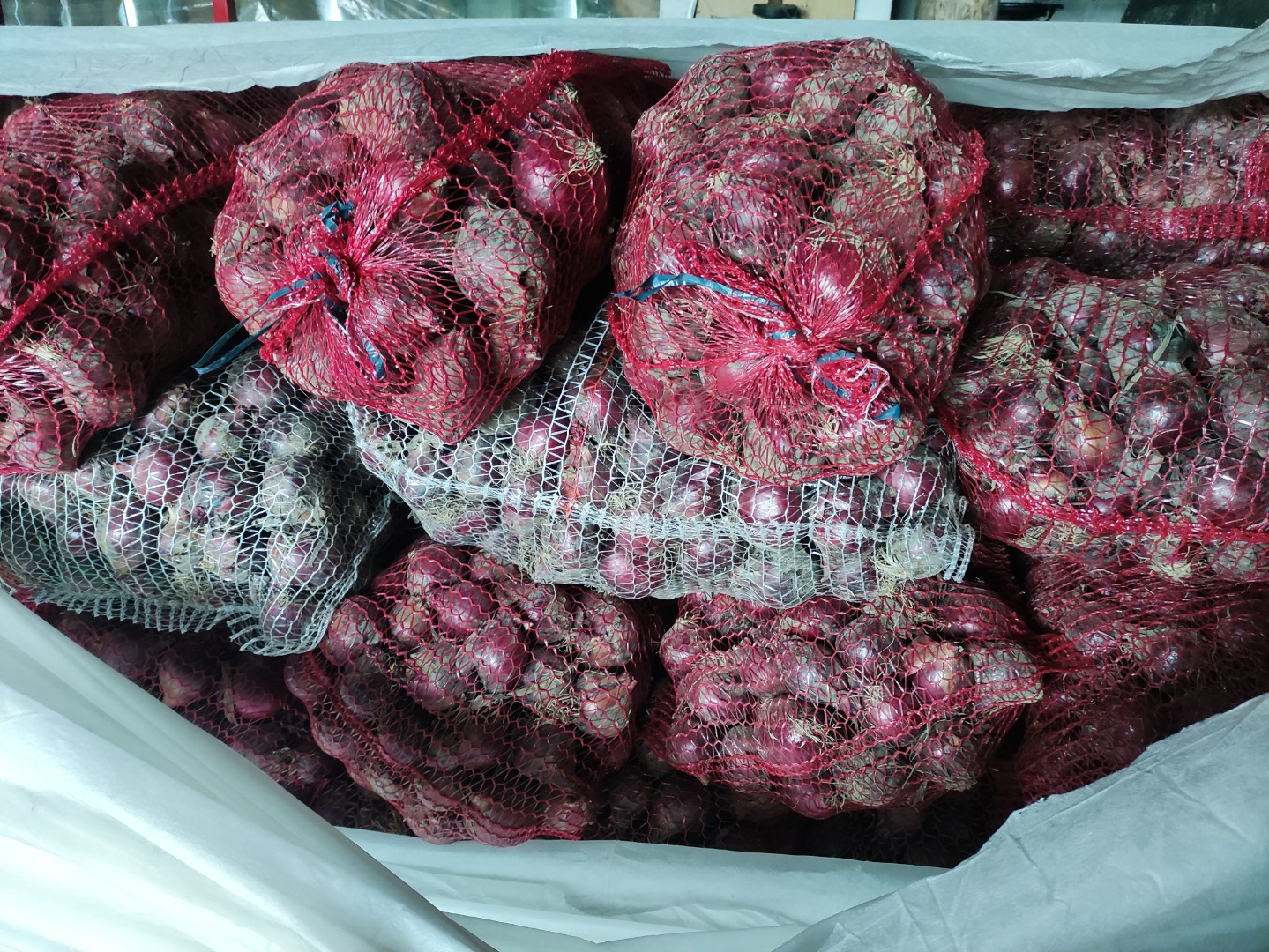 Sprzedam cebulę czerwona Red baron niefazerowana około 4 t kaliber od 5mm