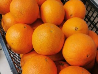 Sprzedam hiszpańską pomarańcze odmiana neveline,bardzo słodka I bez pestki,kaliber