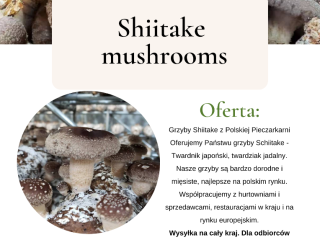 Grzyby Shiitake z Polskiej Pieczarkarni Oferujemy Państwu grzyby Schiitake