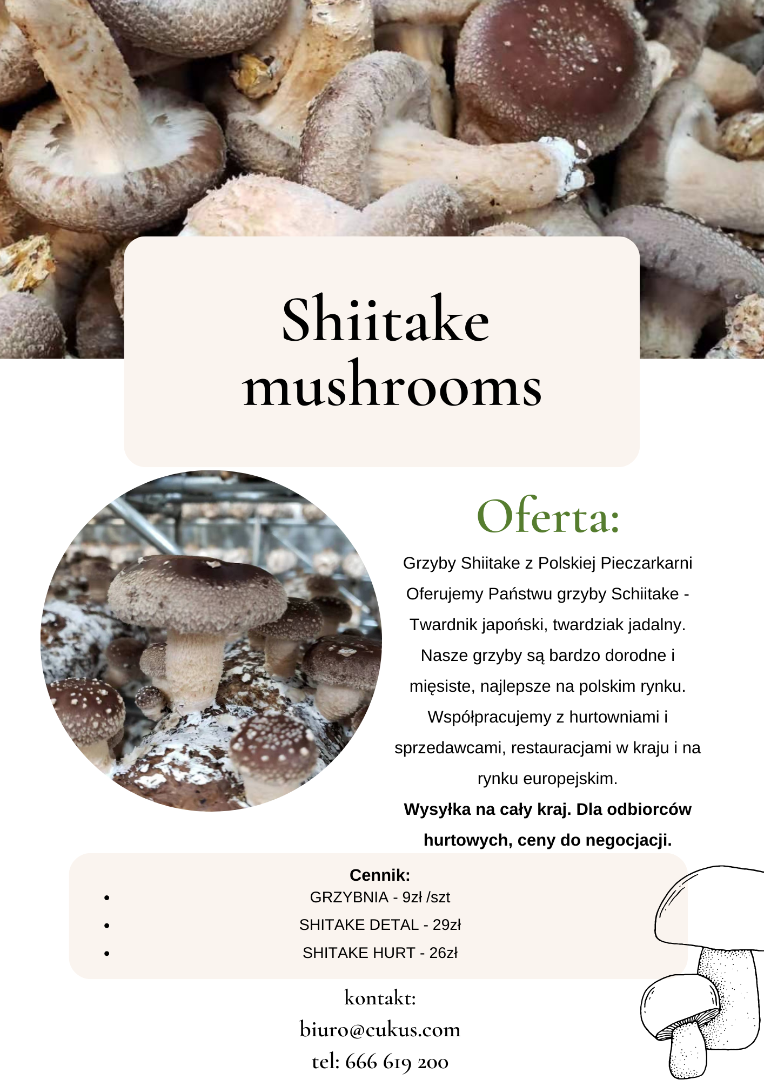 Grzyby Shiitake z Polskiej Pieczarkarni Oferujemy Państwu grzyby Schiitake - Twardnik japoński, twardziak jadalny