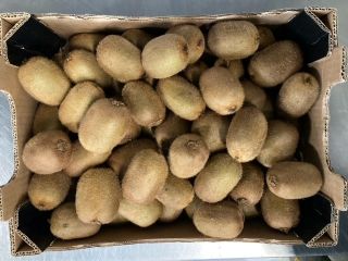 Bio Hayward Kiwi Cal 42, 39, 36, 33, 30