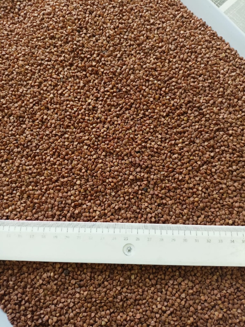 Nasza firma ma przyjemność zaoferować kaszę gryczaną prażoną, towar jest bezpośrednio od producenta, posiada Badania na pestycydy i glifosat