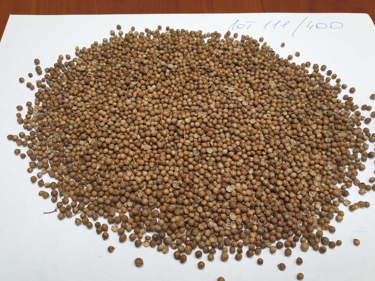 Smoleńsk Agro Export Sp