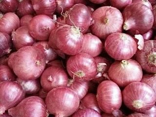Sprzedajemy Czerwoną Cebulę Cal 5+ od rumuńskich lokalnych rolników.