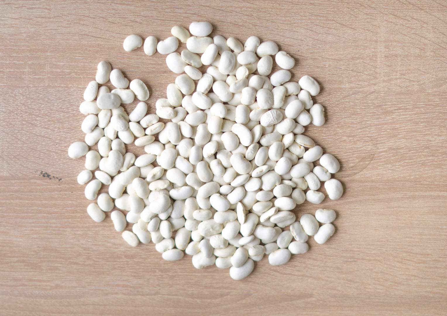 Witam Sprzedam Fasolę biała w rozmiarze: 100-120/100g, 70-80/100g