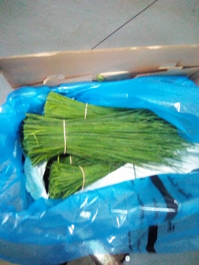 Chive plants produce long, thin, tender green leaves that grow straight upward in dense clusters and spherical, spiky purple blossoms that grow atop tougher