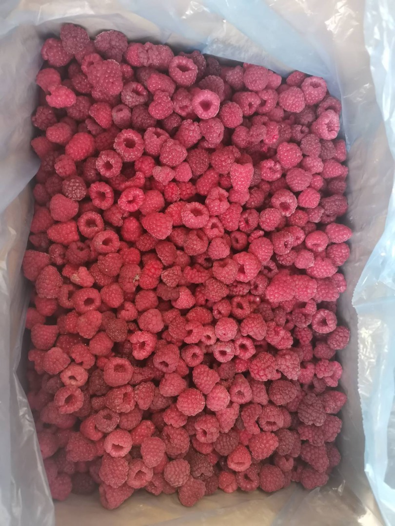 Mrożona malina 90/10 Odmiana: Polka Opakowanie: 11 kg w woreczku kartonowym