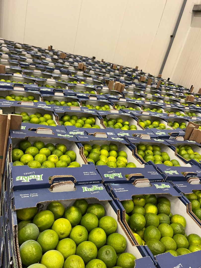 Limonki Tahiti Cena EXW Rotterdam: 8,5 EUR/4,5 KG Marka: FRESKUS Kraj pochodzenia: BRAZYLIA Opakowanie: 4,5 kg/karton Ilość opak.: 240 kartonów/ 1 paleta