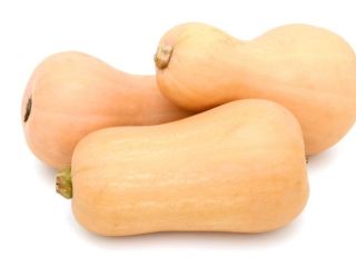 Dynie Matylda, dostępność około 5 ton. Znajdują się one