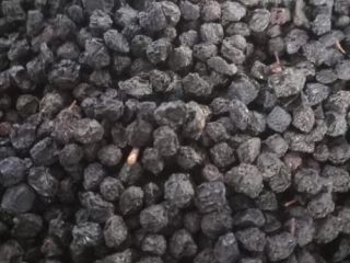 Posiadam do sprzedania aronię suszoną, oczyszczoną. Z własnej produkcji.