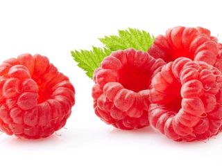 Witam, jesteśmy producentem maliny deserowej spod osłon odmiany Kwanza