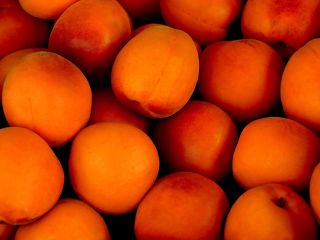 Jeden z czołowych greckich producentów moreli, wiśni, brzoskwiń, kiwi,