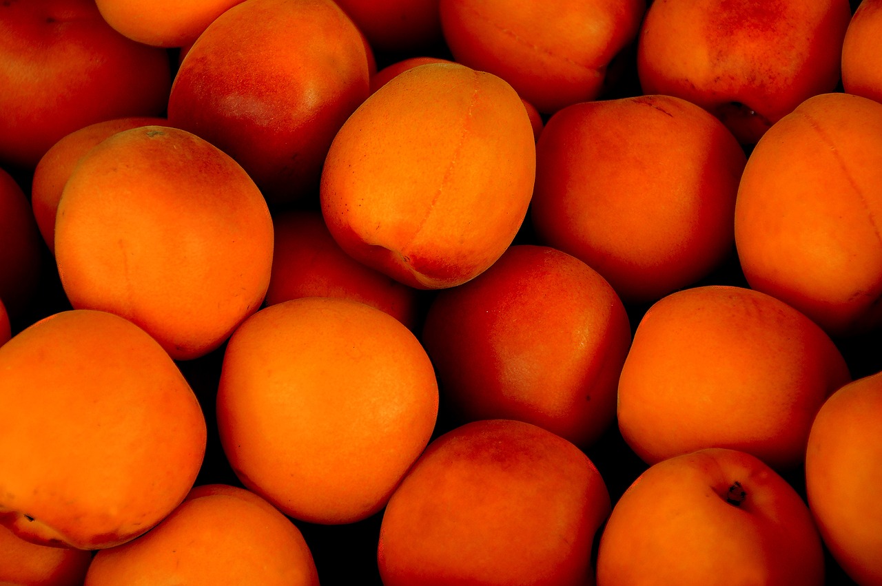 Jeden z czołowych greckich producentów moreli, wiśni, brzoskwiń, kiwi, nektaryn
