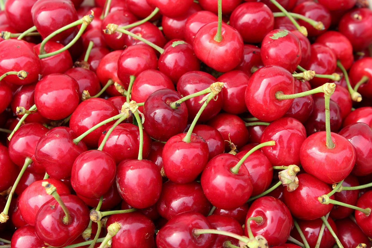 Jeden z czołowych greckich producentów wiśni, brzoskwiń, kiwi, nektaryn, moreli