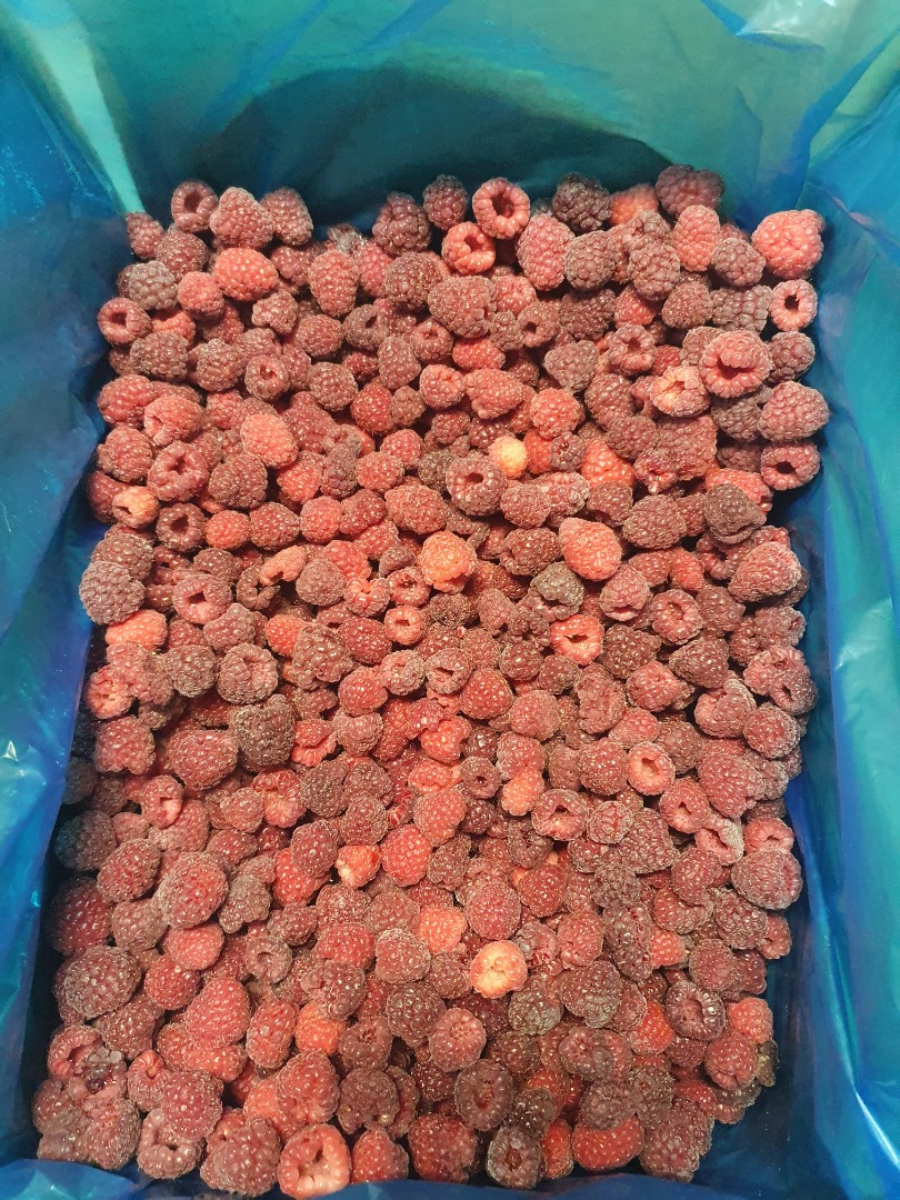 Oferujemy maliny mrożone, pakowane w karton netto 12 kg, na zamówienie możemy wykonać również woreczki gastro 2,5 kg