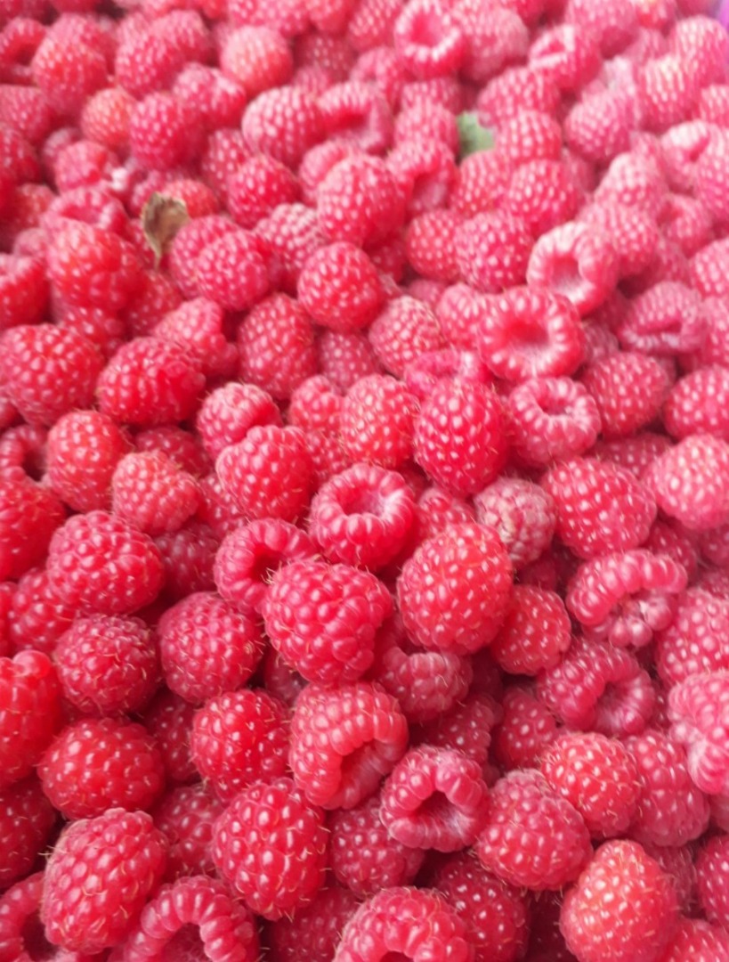 Bio Organiczna malina (malina posiada certyfikat pochodzenia ekologicznego) Odmiana: Fertődi soczysta Ilość: 5t Opakowanie 12kg Lokalizacja i pochodzenie: