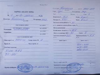 Сельхозпроизводитель продаст пшеницу в колличестве 3 000 тн. Находится