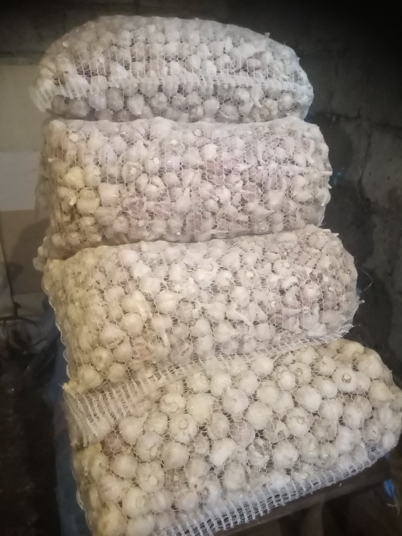 Witam sprzedam Czosnek Harnaś, Szerokolistny, Rusek, na kg razem 510kg pakowany 15 kg worki