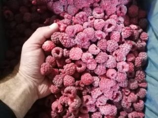 Rolend 95/5, 5 t, 4,25 eur Oryginał 80,20, 20