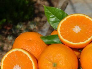 Ekologiczne Pomarańcze z Balearów bezpośrednio od rolnika.
