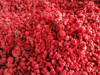 SPRZEDAM MALINY MROŻONE. 90/10.80/10 GRYS