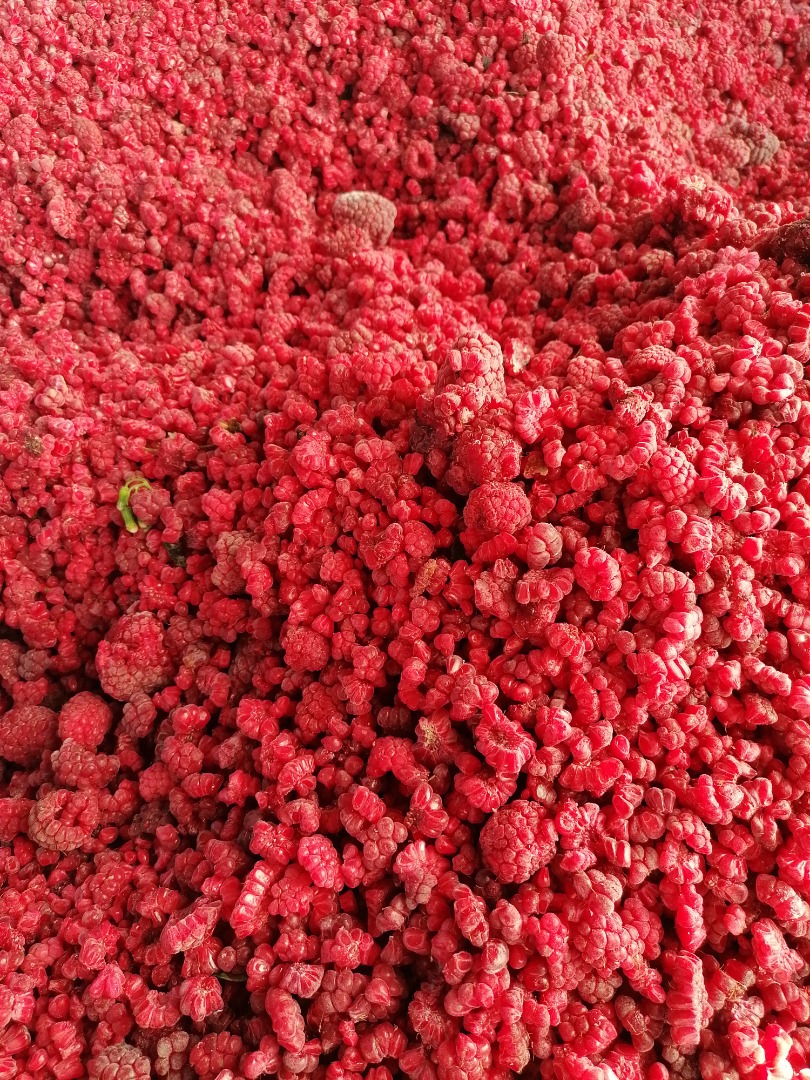 SPRZEDAM MALINY MROŻONE