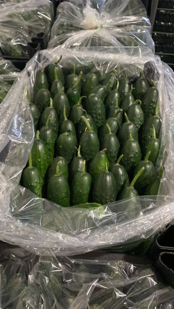 Sprzedam ogórka z Turcji cena hurtowa z miejsca Antalya 1,45€
