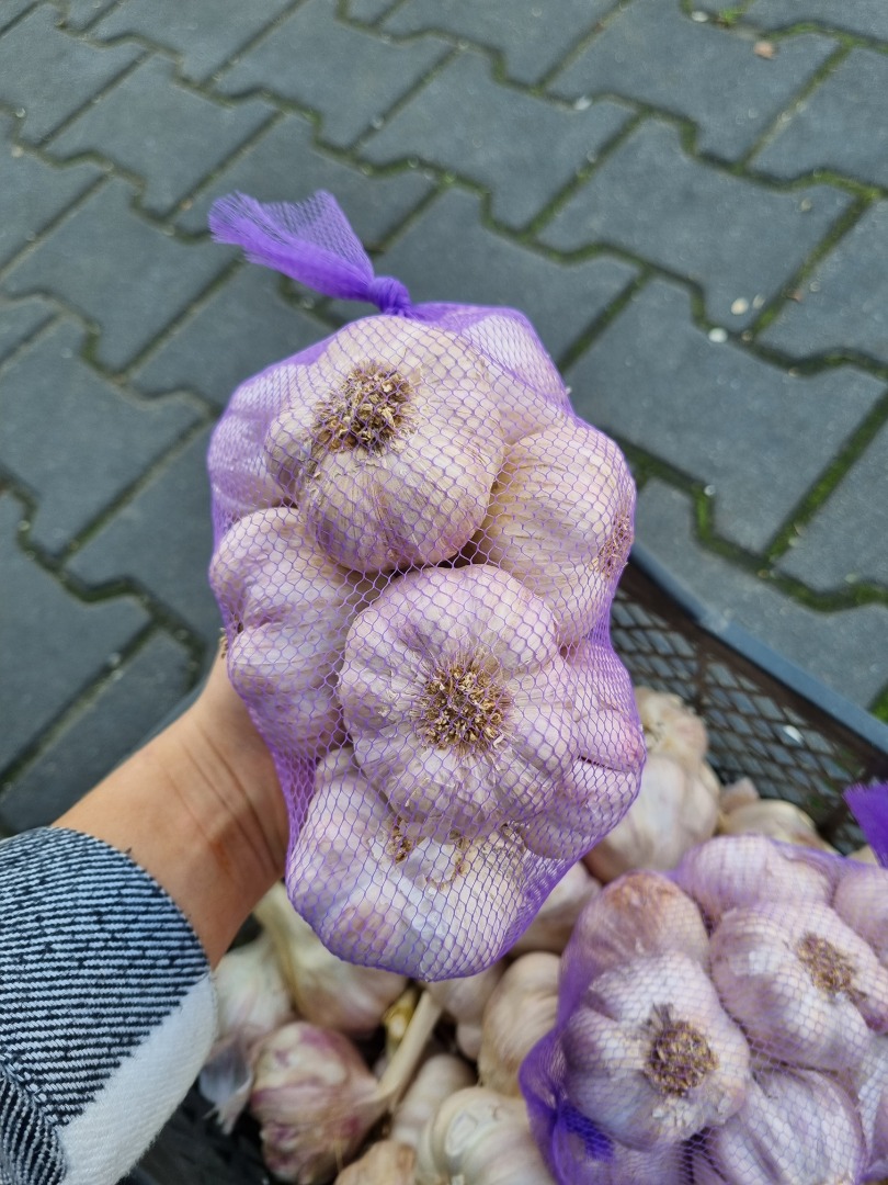 ODKUPIĘ ZWROTY MARKETOWE CZOSNEK HURTOWA SPRZEDAZ CZOSNKU POLSKI , HISZPAŃSKI, EGIPSKI, CHIŃSKI MOŻLIWOŚĆ DOWOLNEJ KONFEKCJI( WARKOCZE, PĘCZKI, KILÓWKA