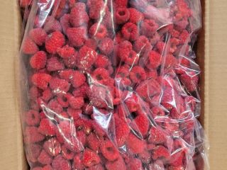 Sprzedam maliny mrożone 95/5 %, karton 10 kg (4