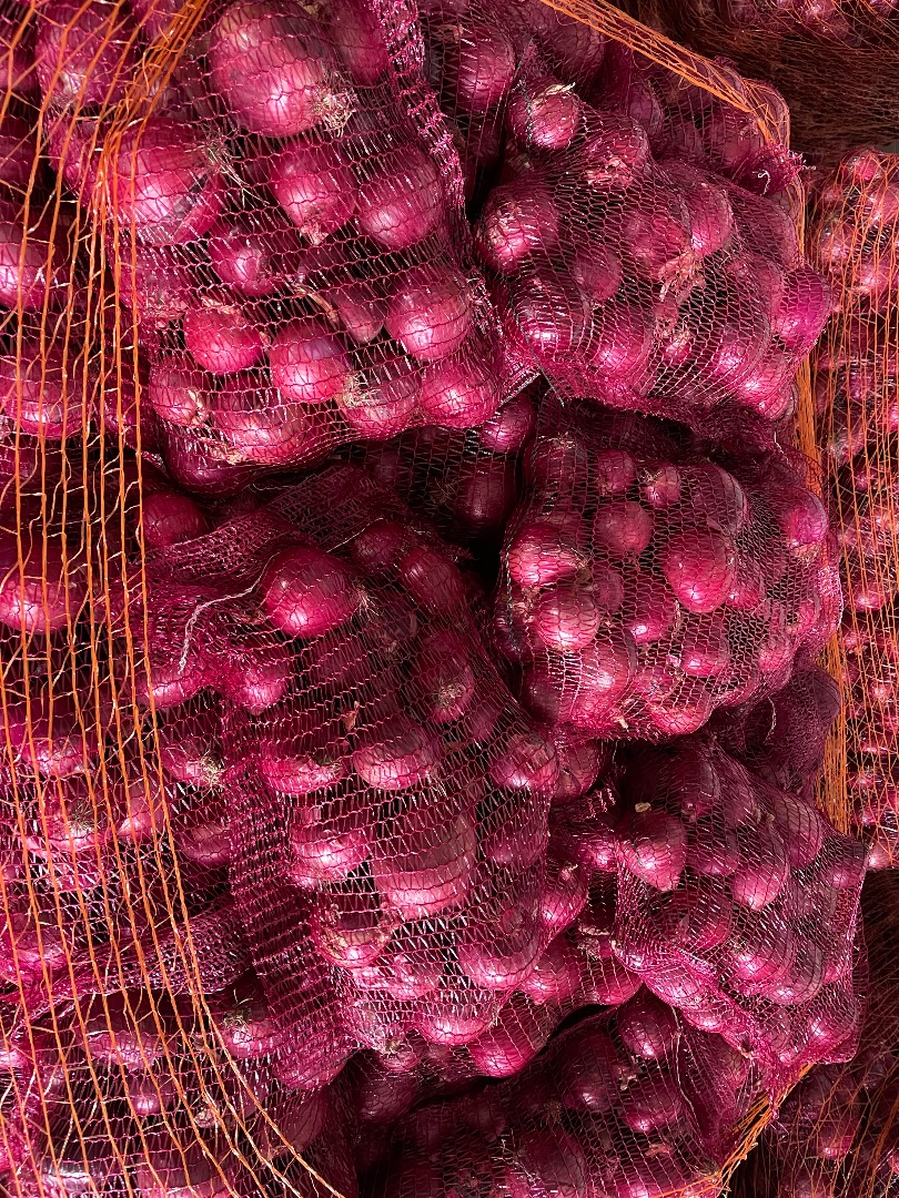 Cebula kaliber 5+ przewaga 6-10 cm możliwość pakowania pod zamówienie