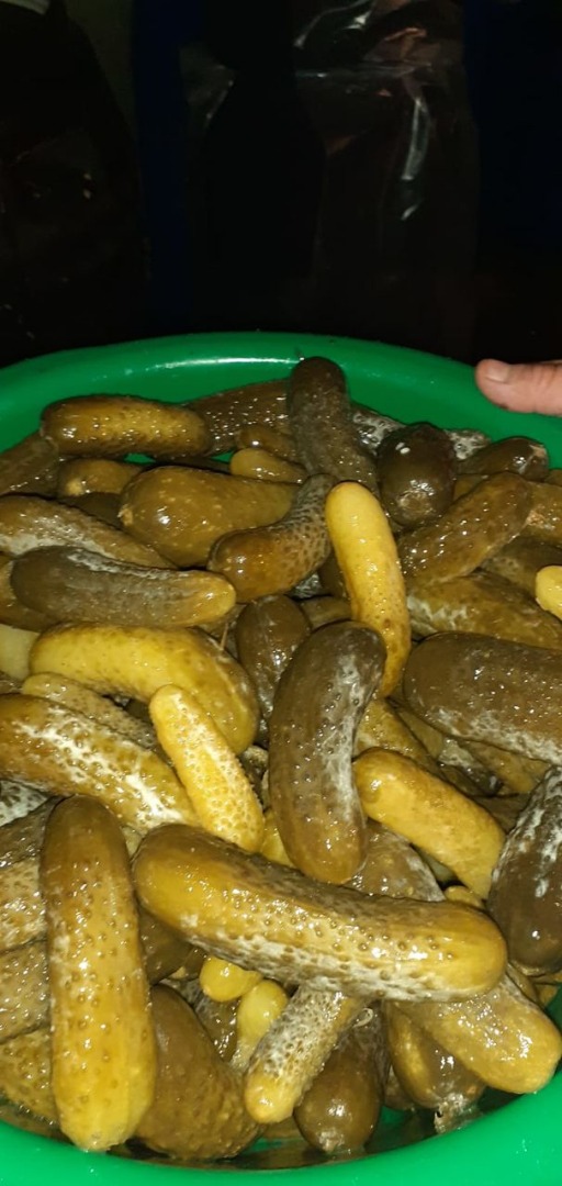 Ogórki kiszone w zalewie pakowane są w beczki plastikowe 220 l, eksportujemy