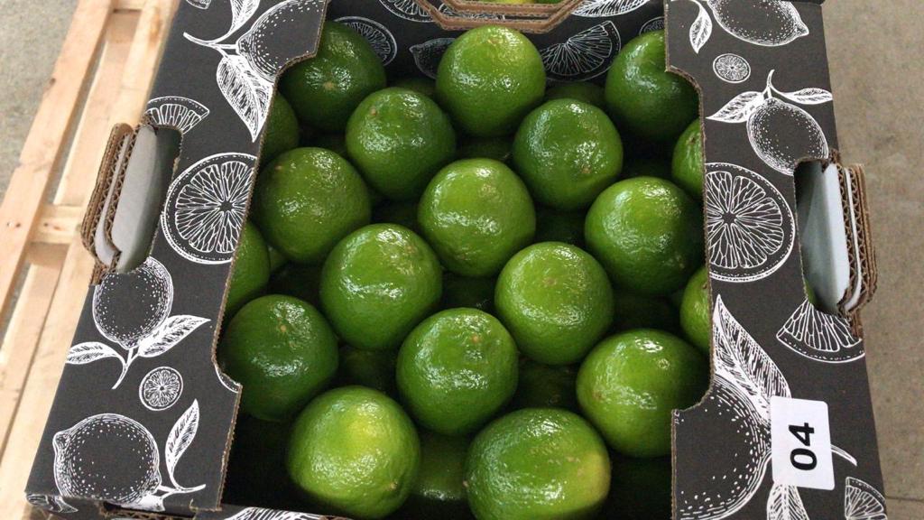 Limonki perskie lub tahitańskie są z natury bezpestkowe i dzielą się na trzy klasy: klasa ekstra, klasa I i klasa II