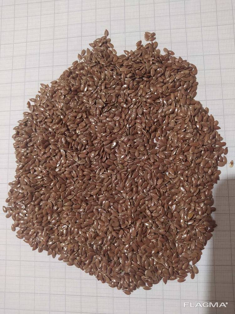 Firma oferuje do sprzedaży siemię lniane brązowe