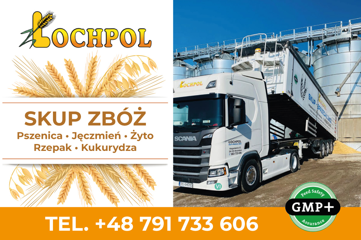 KUPIĘ PSZENICĘ , JĘCZMIEŃ , PSZENŻYTO, RZEPAK, KUKURYDZA