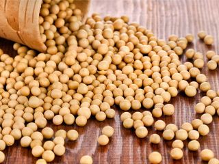 Najwyższej jakości soja GMO/non-GMO, zbiory 2022, produkt przeszedł kontrolę