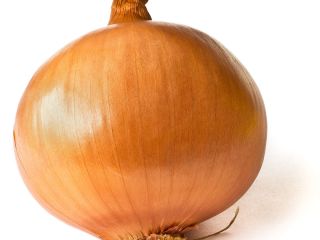Witam wszystkich! Kupię cebulę świeżą z importu pakowaną w