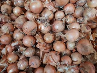Kupie Cebule drobną kaliber 4- Tel. ‭ ‬