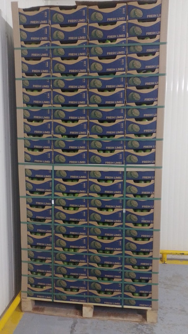Certyfikat Tahiti Acid Lime Global Gap & Rainforest Alliance, opakowanie 4 kg