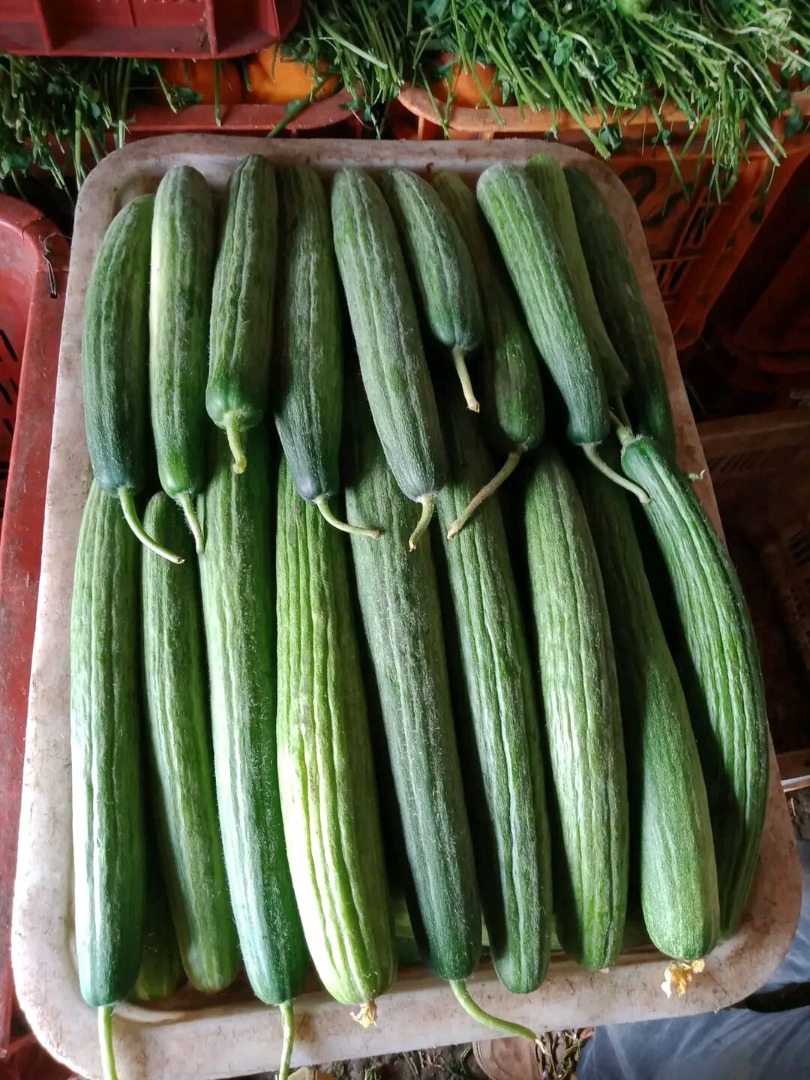 Ogórki