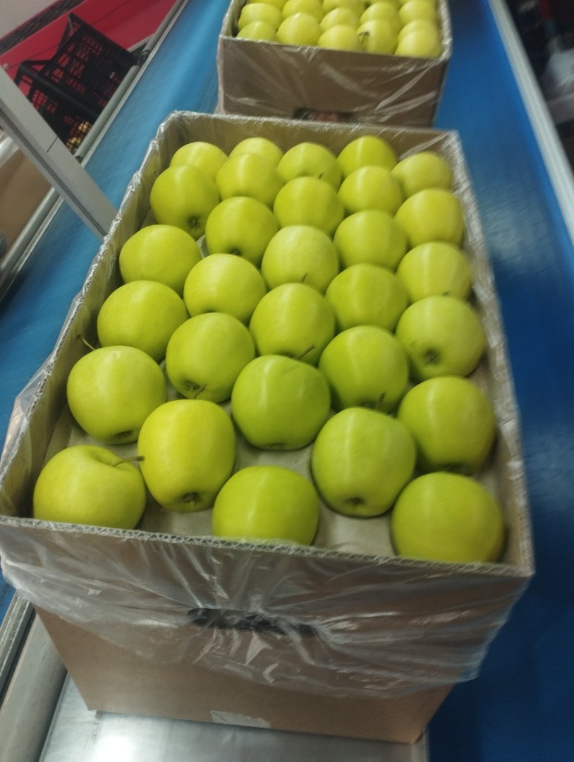 Apple Golden delicious I class for salle