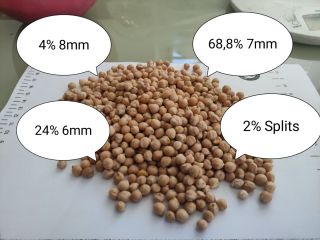 Jesteśmy producentem rolnym i firmą przetwórczą w Bułgarii i